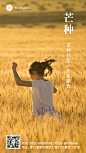 芒种节气祝福排版手机海报