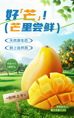 滑滑滑梯采集到工作-临时