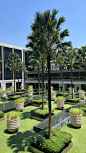 Four seasons hotel 曼谷四季酒店 - 小红书