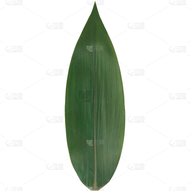 端午节实景粽叶元素素材