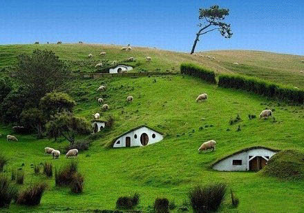 新西兰乡村的房子，想不想试试~~
