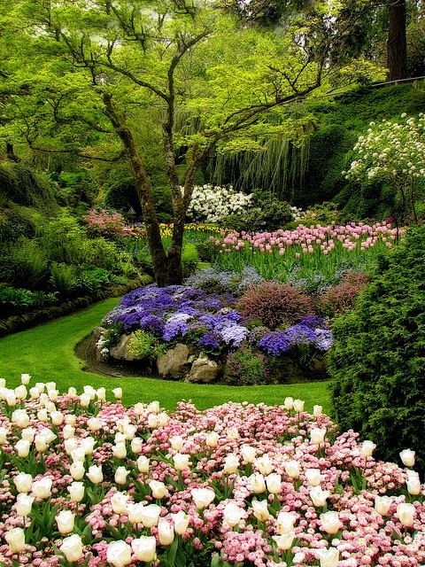 Gardens and Landscap...