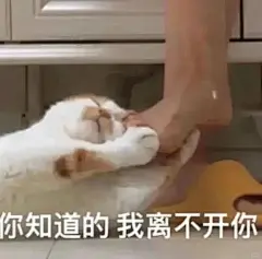 #猫猫表情包 #有趣的表情包 #表情包分享#猫猫教 #喵喵 #猫猫表情包 #猫猫猫猫猫猫 #可爱表情包 - 小红书