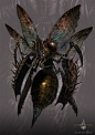 giant gnat - gyromancer by kunkka