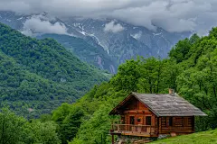 丛林的小木屋自然风景摄影图