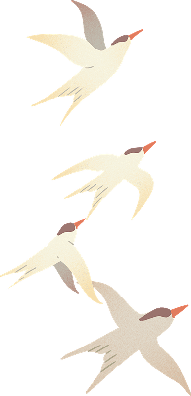 s.png (386×800)