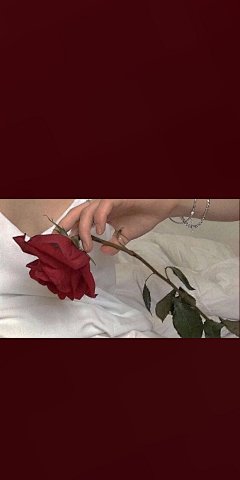 @你看那是岸_朱夫人（由于壁纸有一部分自制，所以转壁纸请加关注注明出处，蟹蟹）平铺，可爱，女王范，黑色，黑白，白色，锁屏，ins风，潮，御姐，动漫，卡通，风景，古风，流行，欧美，情侣壁纸