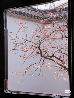 没逝问题不大采集到氛围场景