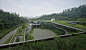 重庆桃源居社区中心 / 直向建筑 : 有日期 2015 的 重庆市, 中国. 图像是由 Su Shengliang, Xiaokai Ma. 社区中心位于重庆市桃园公园半山腰上的一块洼地，四周被起伏的山形围合。对我们而言，设计所面对的首要问题是新的空间建造以什么样的态度介入到原始地貌之中。非同于“在山上盖一幢房子”的通常做法，我们希望塑造一个建筑整体趋势和山体相融合的景观意象。新的空间形体依顺着山势而规划，它们的轮廓线和原来的山形融汇相...