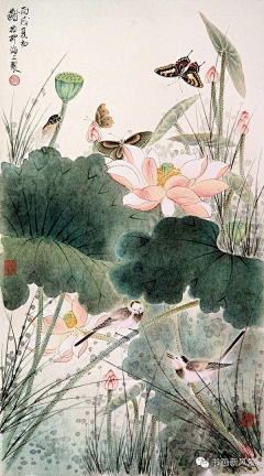 月朦胧q采集到国画花鸟