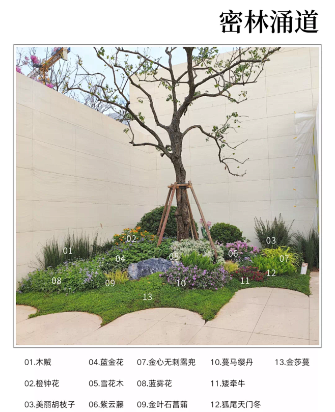 花境配置2