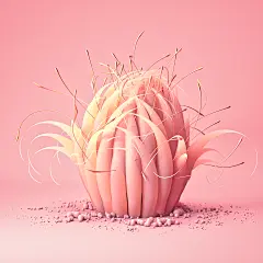 花瓣燕欲主页有图 (376)