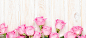 玫瑰,花瓣,粉色,浪漫,木头,背景,海报banner,质感,纹理图库,png图片,网,图片素材,背景素材,3516562@北坤人素材