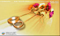 金黄色尊贵的结婚礼视频素材背景免费下载_婚庆视频素材_素材风暴(www.sucaifengbao.com)#视频# #素材# #采集大赛#