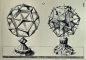 Plate from the 1568 book: Perspectiva Corporum Regularium, by Nuremberg goldsmith Wentzel Jamnitzer (1508-1585) (from a George Hart webpage): 