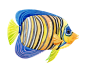 海底世界鱼PNG