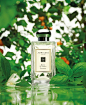 A wink of basil combined with oh-so floral neroli. Basil & Neroli Cologne is the finishing touch.