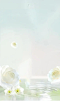 ee657e4645db9fa32ff1cac2a9cd2103d06f4b4f3bba1-8PTR9A_fw658