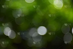 散景