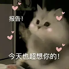 甜甜的恋爱表情包 - 小红书