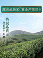 2021新茶上市 卢正浩绿茶明前特级龙井茶叶传承1952系列散装250克-tmall.com天猫