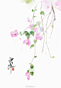@一起摘星愿 的个人主页 - 微博