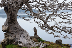 于晗吖采集到山  石头  树  自然风景