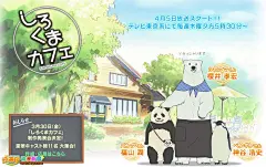 白熊咖啡厅壁纸 - 必应 Bing 图片