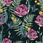 tulips and herbs hand drawn style