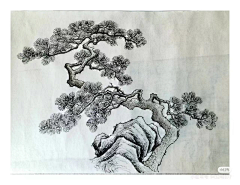 jLxL5LOV采集到白描
