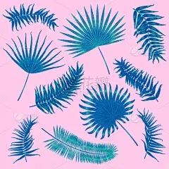 叶子,鸡尾酒,热带雨林,棕榈叶,夏天,绿色,华丽的,自然美,时尚,布置