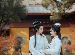 苦嗏采集到斯人【美人】