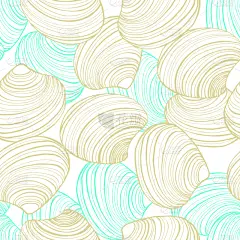 贝壳,背景聚焦,白色,华丽的,条纹,螺线,图像,海洋,壁纸,绘制