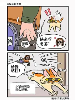 麦茶今天必须去洗澡！_6_阿满和麦茶_来自小红书网页版