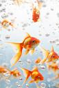 A flock of goldfish on a white background details + intricate detail + professional lighting, film lighting + anamorphic + lightroom + cinematography + bokeh + lens flare + film grain + dslr, octane render, photorealism, f/7.1, soft light, 4k, hyper reali