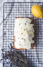 20+ Best Free Food Pictures on Unsplash : Download the perfect food pictures. Find over 100+ of the best free food images. Free for commercial use ✓ No attribution required ✓ Copyright-free ✓