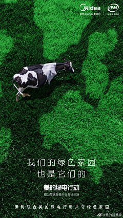 熊猫猫熊毛熊采集到H-海报