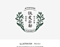 DENDROBIUM OFFICINALE 傍生铁皮石斛 on Behance