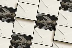 14款质感光影信封信纸名片贺卡明星片设计作品展示效果图ps样机 Sezanne - Mockup Scene Creator - 格外视觉(uigui.cn)-国外高品质设计素材共享网