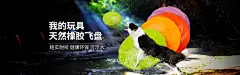 飞盘海报