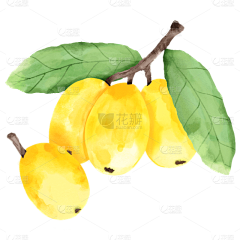 用户5wJwaYni采集到水彩花