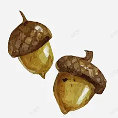 水彩榛子 创意素材