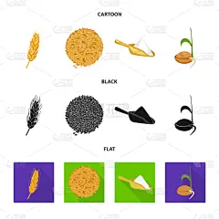 农业,图标,大麦,谷物,面包,食品,面粉,尖的,设计,糠