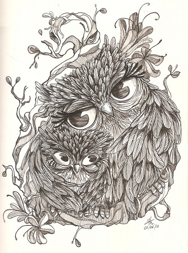 owls #采集大赛#