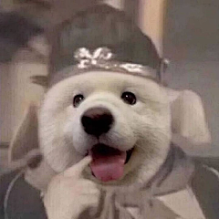 丸子哇Y采集到耶耶