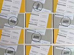 Martyna Wędzicka 设计室 2013年身份名片设计