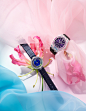 Elle jewelry Photography  Watches