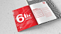 2-in-1 Annual Report & Presenter on Behance