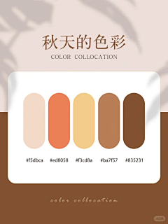 用户bAi0eopZ采集到配色