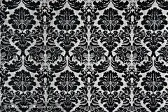 黑白巴洛克式背景
Black and White Baroque Background